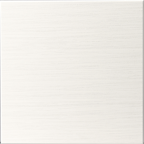ECP_303_SLA1N